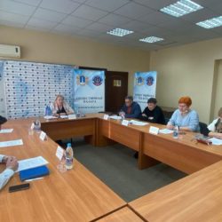 Елена Сибагатулина приняла участие  в заседании комиссии Общественной Палаты Ульяновской области