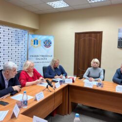 Елена Сибагатулина приняла участие в заседании региональной Общественной Палаты